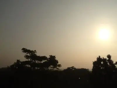 image-104268365.webp image-104268365.webp