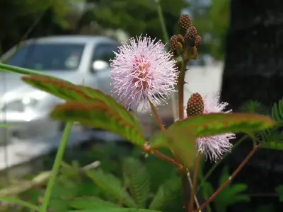 image-473290936.webp image-473290936.webp