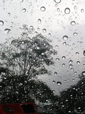 image-3633713199.webp image-3633713199.webp