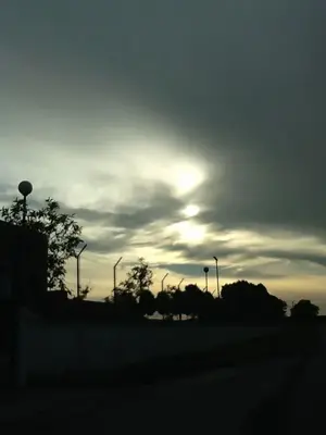 image-3378508500.webp image-3378508500.webp