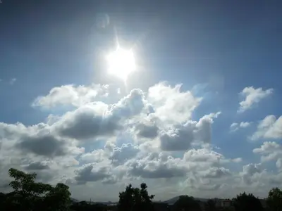 image-2690396319.webp image-2690396319.webp