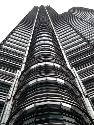 image-3369908582.webp image-3369908582.webp