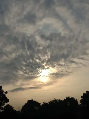 image-3306284935.webp image-3306284935.webp