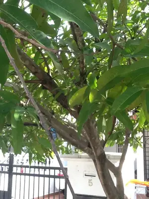 image-307151579.webp