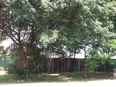image-808493614.webp