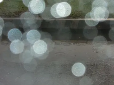 image-3572905183.webp