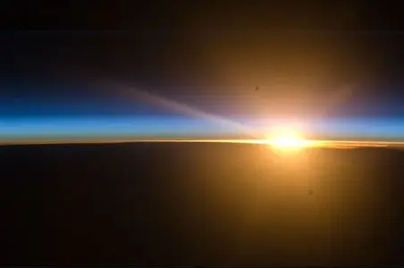 image-3109498415.webp