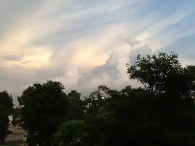 image-3748352708.webp