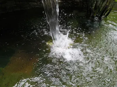 image-2290160490.webp