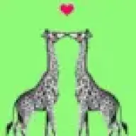 Giraffe22