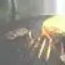 fredchicken