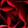 Romantix
