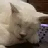 deekayoz