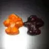whogotdafunk