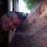 CaptainVonFruit