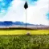 roblamo