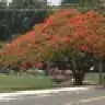 rruizortiz