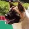 TitoDeDiego