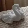 reynalac