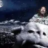 Falcor