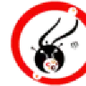 phoenix180