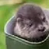 OtterWA