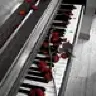 rikki59