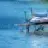 Bfly58