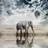 ablove0573