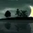 SummerNight