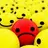 tweety7