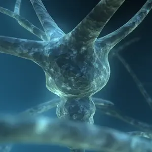 Neuron