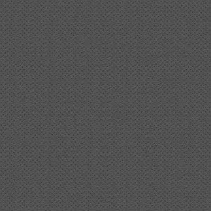 GreyHeadliner