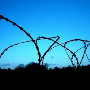 Barbed_Wire_Blue_Background