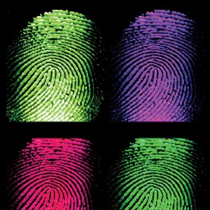 Color_Fingerprints