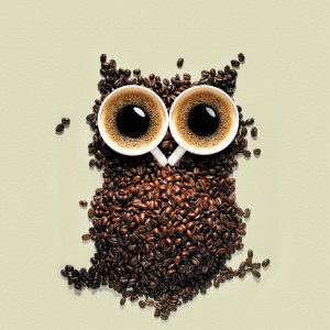 coffee_owl