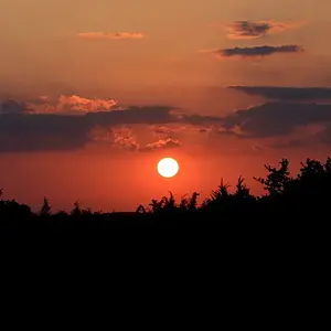Nickso-7