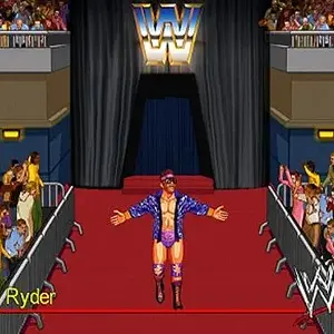 WWE_Wrestlefest_broski