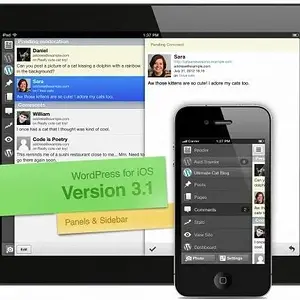 WordPress_upate_3_1
