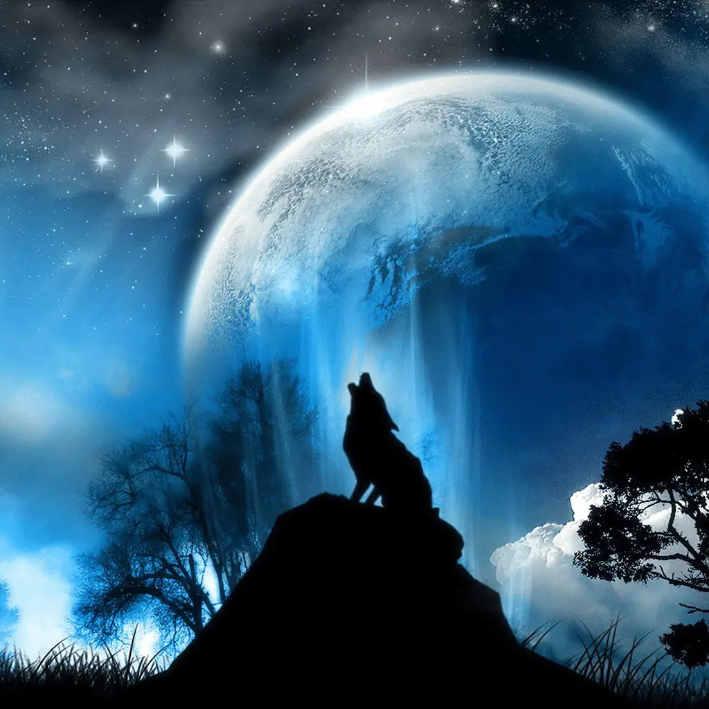 Howling at the Moon