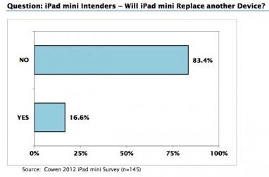 iPad_mini_survey