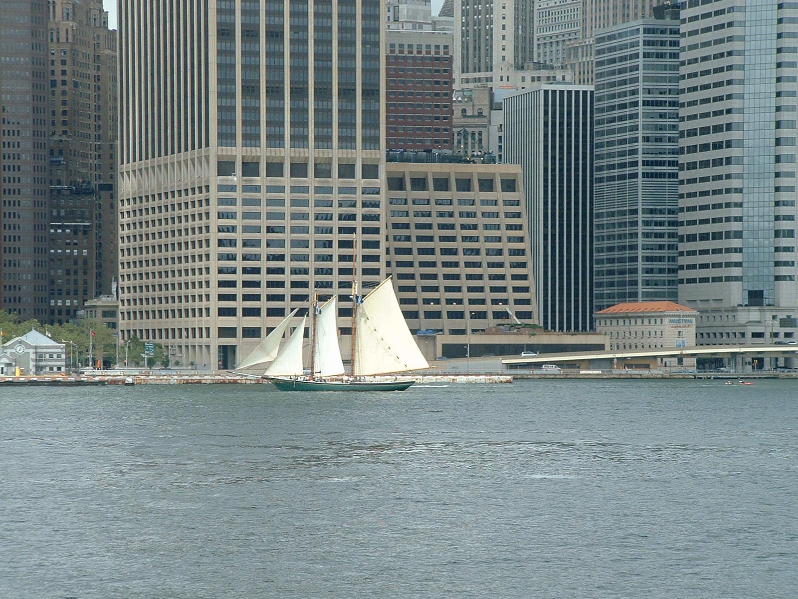 NY Sail