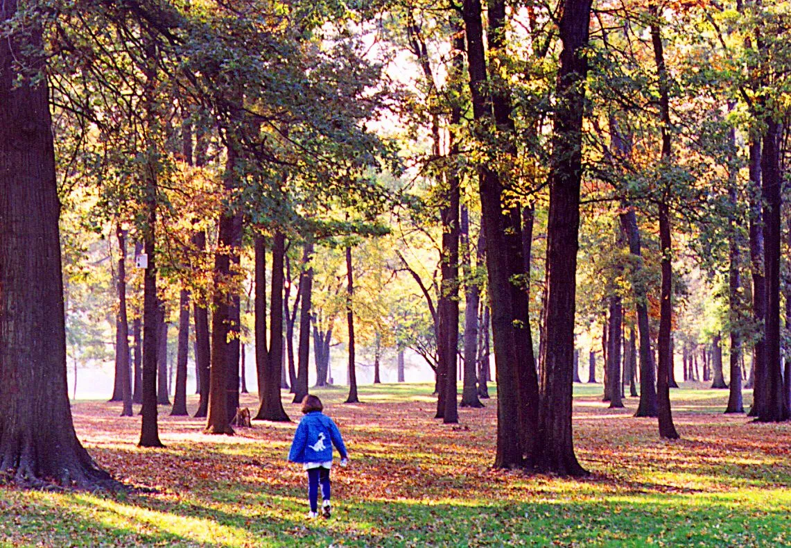 Walking in the Leaves
