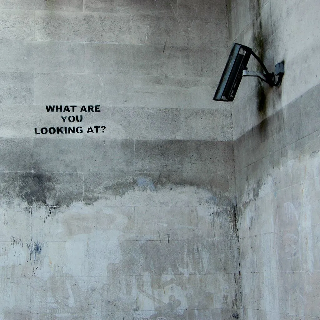 What are you looking at?