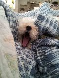 20111119_101320.jpg