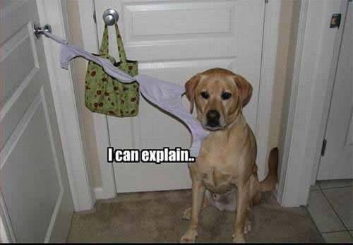 funny-pictures-38.jpg