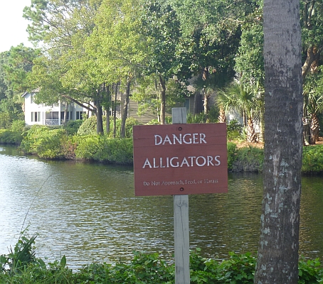 DangerAlligators.jpg