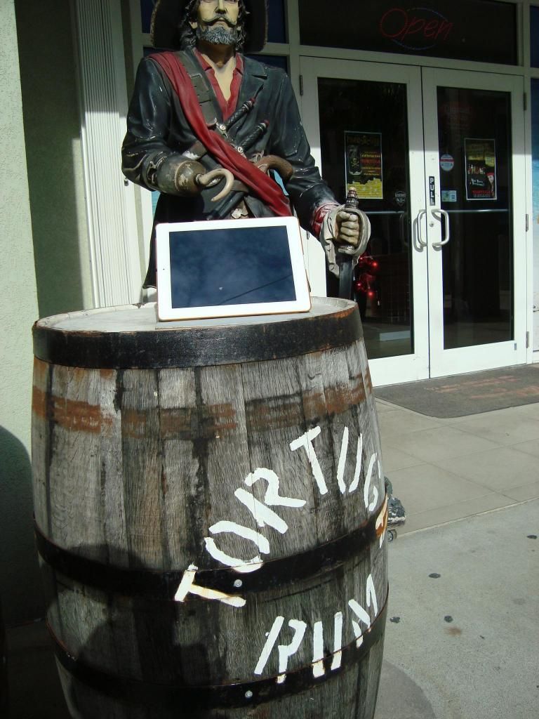 DSC01413.jpg