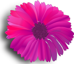 PinkFlower.png