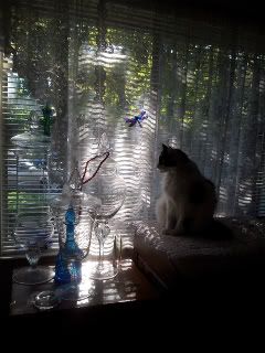 20111031_100144.jpg